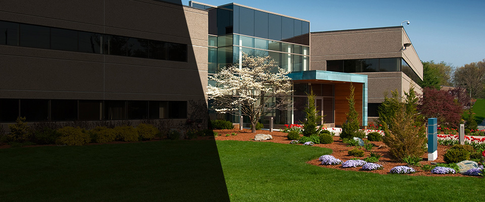 Rancho Palos Verdes Landscapers