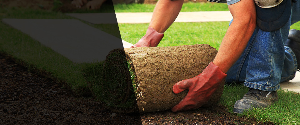 Rancho Palos Verdes Landscapers